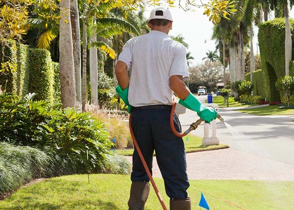 About South Freeport ME Pest Control Pros
